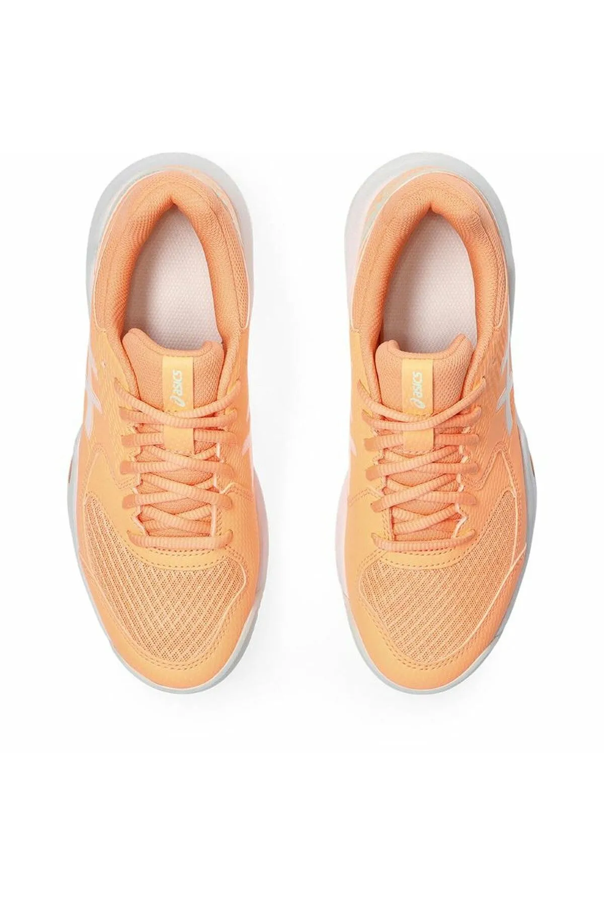 Adult's Padel Trainers Asics Gel-Dedicate 8 Orange