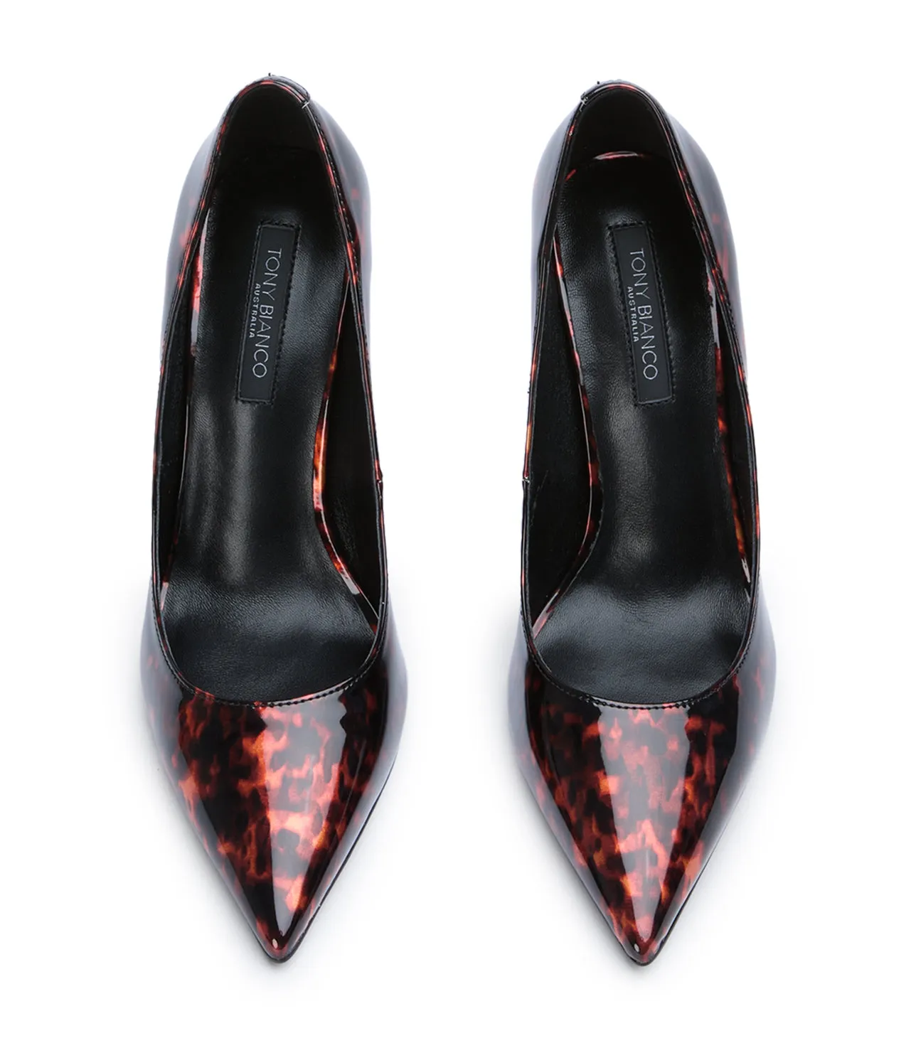 Anja Tortoiseshell