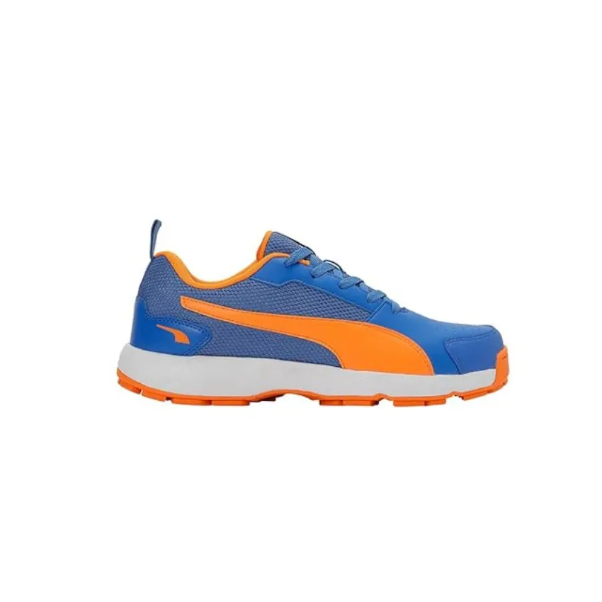 Puma Highrun Cricket Shoes