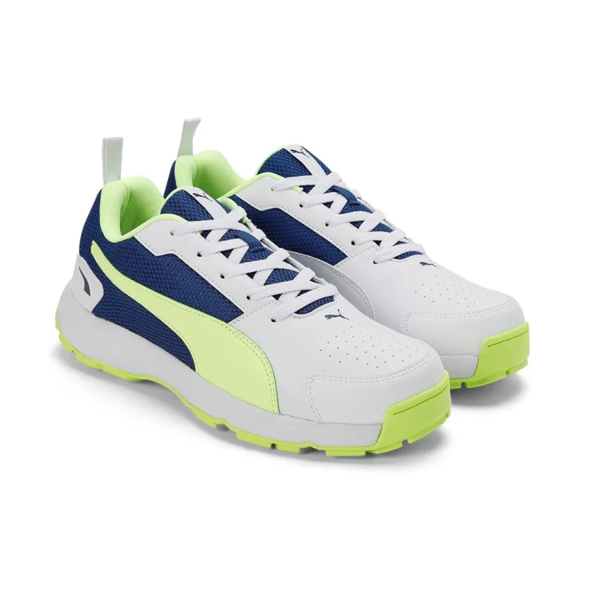 Puma Highrun Cricket Shoes