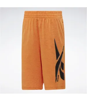 Reebok Boys Big Cationic Athletic Workout Shorts, TW1